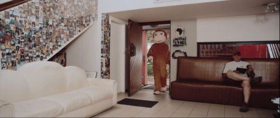 MI-abaga-monkey-video